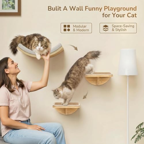 Cat Wall Shelves and Cats Window Perch – Natural Wood 4-Piece Set with Foam-Padded Curved Bed and Felt Steps, Space-Saving Wall Mounted Design - color: Foam/Felt-Wood, size: 1 Curved Bed 1 Shelf 2 Steps