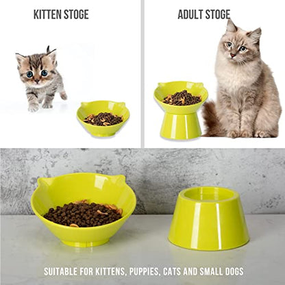 Detachable Elevated Cat Bowls, 15° Tilted Raised Cat Food Bowl Anti-Vomiting,Whisker Friendly, Adjustable Pet Dishes for Protecting Spine, cat Bowls for Indoor Cats Adult Kitten - color: Green