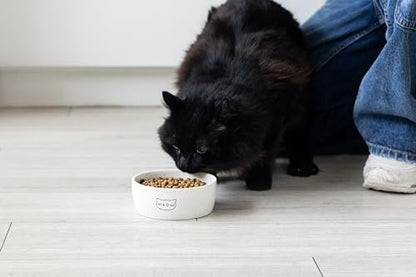 Pearhead Ceramic Meow Cat Bowl, Holds 12 oz, Whisker-Friendly Pet Dish for Food and Water, Modern Speckled White - color: Speckled "Meow", size: Single Bowl