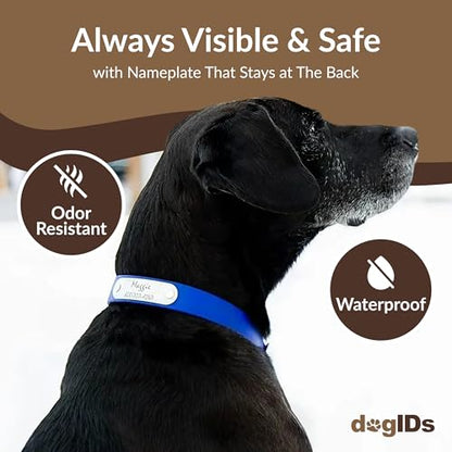dogIDs Personalized Dog Collar – Custom Waterproof Soft-Grip Biothane with Laser-Engraved Nameplate, Durable & Odor-Resistant, USA Made | Teal, 1 in x 16 in (Fits Necks Size 14-18 in) - color: Teal, size: 1 in x 16 in (Fits Necks Size 14-18 in)