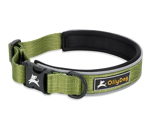 OllyDog Flagstaff Reflective Comfort Collar, Neoprene Padded Dog Collar, Reflective Trims for Night Runs, Extra Comfort for Active Dogs (Large, Cactus Woodgrain) - color: Cactus Woodgrain, size: Large