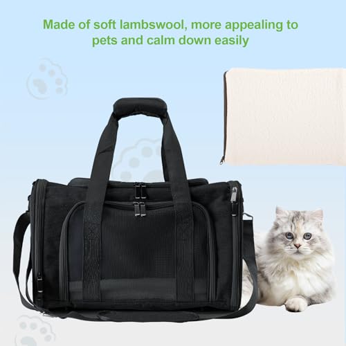 Roaringkitty Travel in Style: Portable Pet Carrier for Small Pets up to 15 Lbs- Airline Approved, Collapsible & Comfortable cat/Puppy Soft Sided Bag (Black)