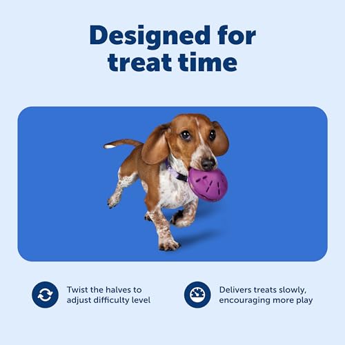 PetSafe Busy Buddy Twist 'n Treat Dispensing Dog Toy - Small - size: Small (Pack of 1)