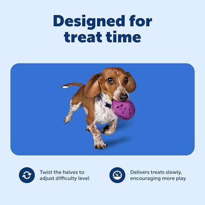 PetSafe Busy Buddy Twist 'n Treat Dispensing Dog Toy - Small - size: Small (Pack of 1)