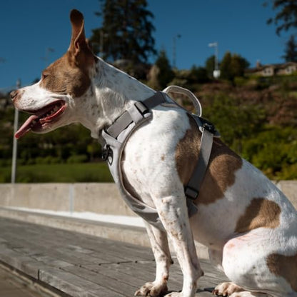 Effortless No-Pull Dog Harness with Magnetic Buckle – One-Hand On/Off Comfort Fit for Small, Medium & Large Breeds | Soft Padded, Adjustable, and Durable by Up Dog Shop (Small) - size: Small (15-30 lbs)