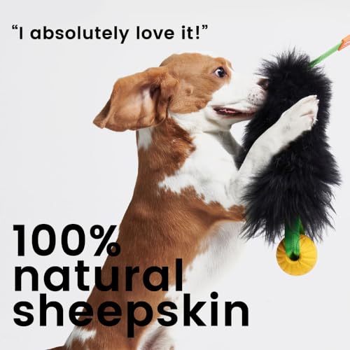 Dog Rope Toy,Dog Bungee Chaser Toy 100% Sheepskin,Sheep Smell Tug Interactive Rope for All Breeds (Black, with Rubber Ball) - color: Black, size: With Rubber Ball