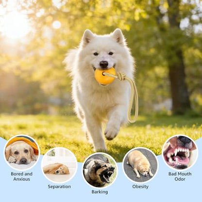 SCENEREAL Floating Dog Pool Toys - Ball on Rope Fetch and Tug-of-War Toy for Medium Large Dogs Outdoor Training, EVA Rubber Water Pet Interactive Toys for Summer Beach, Yellow - color: Yellow