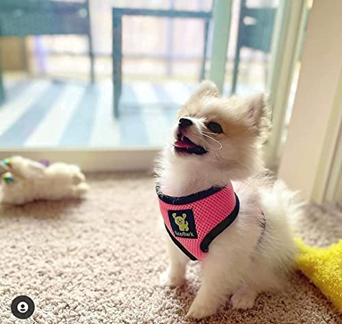 EcoBark Dog Harness - Eco-Friendly Max Comfort Harnesses - Luxurious Soft Mesh Halter - Over the Head Harness Vest- No Pull and No Choke for Small, Toy Breed, and Teacup Dogs (XS, Light Pink) - color: Light Pink