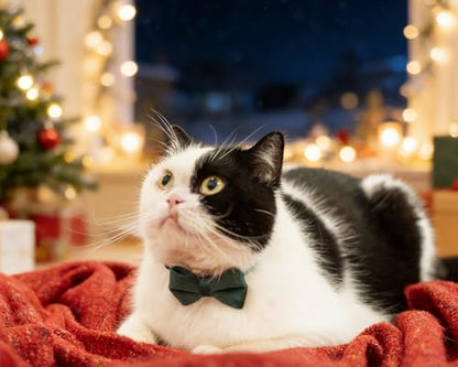 Cat Collar with Bow Tie 2pcs Set Bell Boy Girl Kitten Safety Plaid Grid Checkered Solid Color Suede Velvet Cute Soft Fluffy Gift B-[2pcs] Green - color: Style B-[2pcs] Green