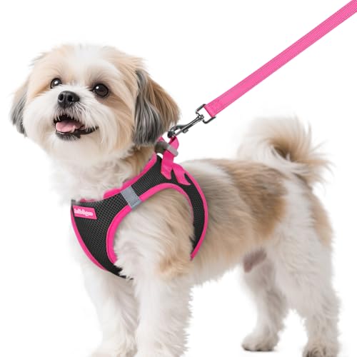 rabbitgoo Dog Harness Small Sized and Leash Set, Step-in Breathable Pet Harness, Soft Walking Reflective Puppy Vest for Small Dogs, Black & Rose Red, S - color: Black & Rose Red, size: S (Chest: 15.1 - 16.5")