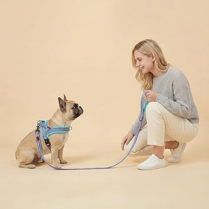 Didog Soft Flannel Padded Dog Vest Harness, No Pull/Quick Fit Reflective Dog Strap Harness, Easy for Training Walking (XS:Chest 15-18", Mixed-Blue) - color: Mixed-Blue, size: XS:chest 15-18"
