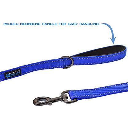 Max and Neo Reflective Nylon Dog Leash - Donate a Leash to Rescue for Each Sold (Black, 4ft) - color: BLACK, size: 4 FT x 1" Wide