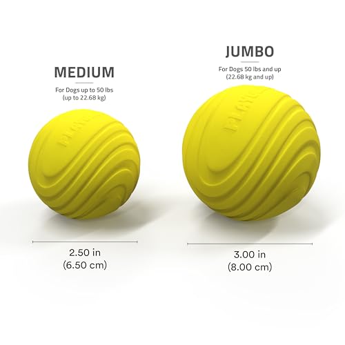 Playology Dog Toys | Dual Layer Ball Durable Chew Toy for Tough Chewers | Chicken Scented Medium Dog Toy | Chew Toys for Dogs - size: Medium, style: Chicken