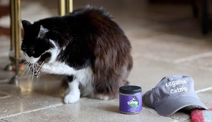 Purrfect Pounce Refillable Cat Toy with Catnip Included - Handmade in the USA, Interactive Leopard Design - Easy Refill Opening