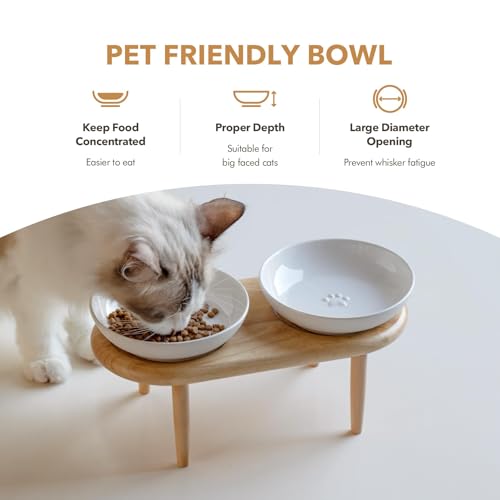 Havniva Cat Bowls Elevated 5.6” Ceramic Cat Bowl with Stand Whisker Friendly Cat Dishes, Cat Food & Water Bowl Set with Two Heights Options, Raised Cat Food Plates for Kitten Anti-Slip Pet Bowls - color: 2 Bowls+Stand- White