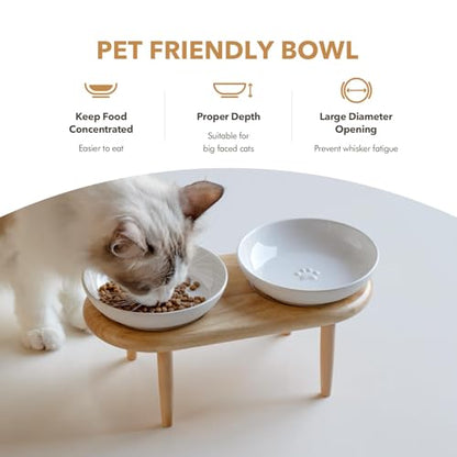 Havniva Cat Bowls Elevated 5.6” Ceramic Cat Bowl with Stand Whisker Friendly Cat Dishes, Cat Food & Water Bowl Set with Two Heights Options, Raised Cat Food Plates for Kitten Anti-Slip Pet Bowls - color: 2 Bowls+Stand- White