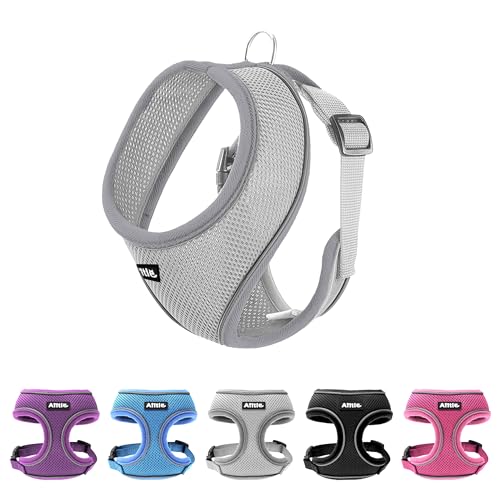 AIITLE Easy Walk Dog Harness, Soft No-Pull Design, Breathable 3-Layer Mesh for Medium Dogs, Adjustable Fit for Hiking, Training – Fits Pugs, Bichon Frise (XL, Grey) - color: Grey, size: XL
