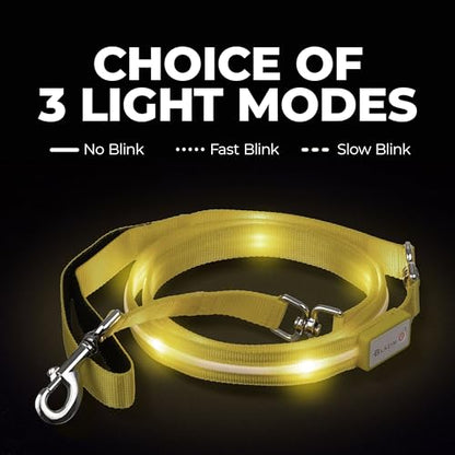 BLAZIN Light Up Dog Leash LED - 1,000 Feet of Visibility - USB Rechargeable Waterproof Glow in The Dark Dog Leash - 6 Foot, Black