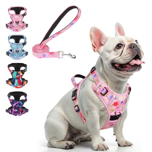 BEAUTYZOO No Pull Dog Harness and Leash Set with 2 Metal Leash Clips - Overhead-Free 3 Snap Buckles Design, Adjustable No-Choke Soft Padded Reflective Oxford Pet Vest for Small Medium Large Dogs, Pink - color: Pink Flower, size: S: chest 14"-24"