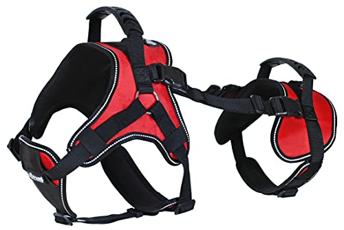 Doggie Stylz Multi-Functional Full-Body Lifting Dog Harness Vest, Designed for Front-Only, Rear-Only or Full-Body Dog Lifting. Please Measure Before Ordering. - size: Girth 20-25"