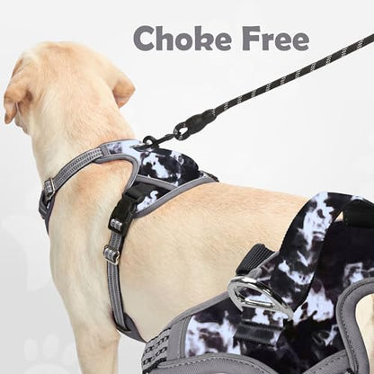 Funfox Dog Harness No Pull, Adjustable Pet Vest Harness, Super Soft Material with Vertical Handle Easy Control, Reflective Night Walking, 2 Leash Clips for Small Sized Dogs, Misty Gray, S - color: Misty Gray, size: Small