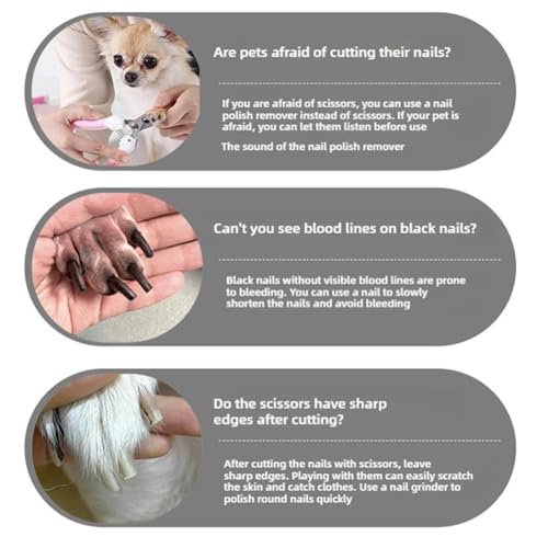 Silent Dog Nail Grinder, Quiet 40dB Electric Pet Nail Trimmer with USB Rechargeable, Interchangeable Grinding Heads for Safe Claw Filing of Small Cats to Large Dogs (Nail Grinder 1 Set)