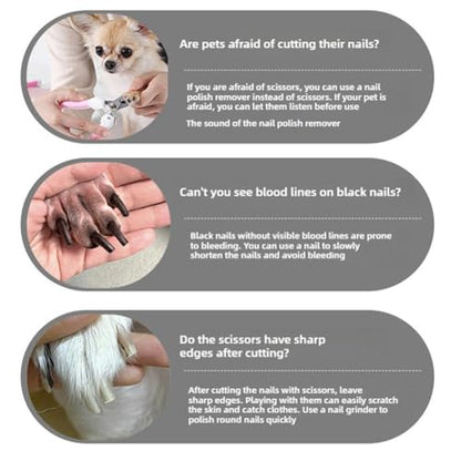 Silent Dog Nail Grinder, Quiet 40dB Electric Pet Nail Trimmer with USB Rechargeable, Interchangeable Grinding Heads for Safe Claw Filing of Small Cats to Large Dogs (Nail Grinder 1 Set)