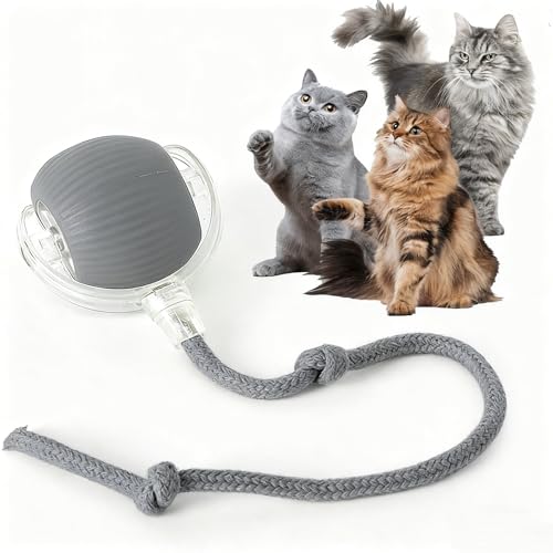 Rocfish Durable Interactive Cat Toys for Indoor Cats, Smart Automatic Cat Chase Ball Toy, Upgraded Speedy Tail Kitten Toy for Bored Indoor Adult Pets (Grey) - color: Grey