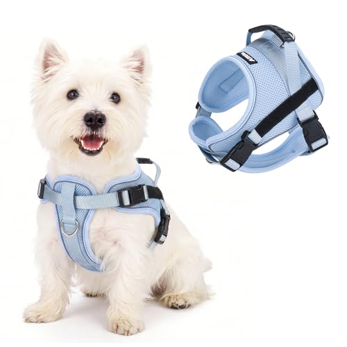 AIITLE No Pull Reflective Dog Harness with Handle - Soft Comfortable All Weather Mesh Breathable Adjustable Puppy Harness for Small Medium Dogs, Easy Control for Walking Running Camping (Blue，L - color: Blue, size: L