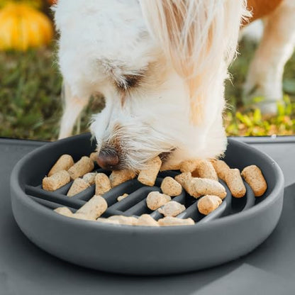 Should We Go? Slow Feeder for Dogs & Cats, The Slowdown Bowl Silicone Slow Eating Mealtime Solution with Modern Lick Mat Design, Reduces Gulping, Fits 1 Cup, 6” Across x 1.25” Tall, Small-Charcoal - color: Charcoal - Rainbow Design, size: Small (6” Across