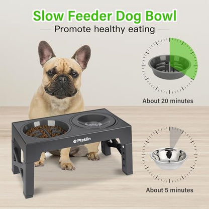 Elevated Dog Bowls, 5 Height Adjustable Raised Bowl with Anti Spill Non-Skid No Shaking Water Bowl and Slow Feeder Dog Bowls Stand for Small Medium Large Dogs