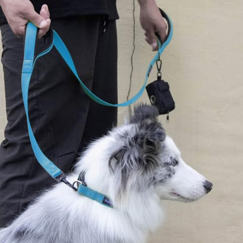 Wagtime Club Double Handle Dog Leash, 6ft Long Heavy Duty Dog Leash with Paded Traffic Handles for Extral Control and Training, Dual Handles Leads, Large Medium Small Dogs (Bright Blue) - color: Bright Blue
