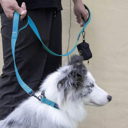 Wagtime Club Double Handle Dog Leash, 6ft Long Heavy Duty Dog Leash with Paded Traffic Handles for Extral Control and Training, Dual Handles Leads, Large Medium Small Dogs (Bright Blue) - color: Bright Blue