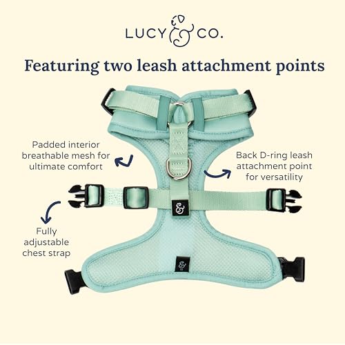 Lucy & Co. The Spring Green No-Pull Dog Harness - Size Small- Vest to Stop Pulling & Walk Easy - Comfortable Leash Training Product w/Adjustable Chest & Neck Straps - color: The Spring Green No-Pull Harness, size: Small