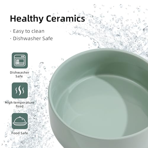 Havniva Raised Cat Bowls Water Bowl 5.1” Elevated Ceramic Cat Food and Water Bowl Whisker Friendly Pet Food Bowls for Indoor Cats, Wide Cat Water Dish Prevent Whisker Fatigue Non Slip Cat Feeder - color: 1 x Bowl + Stand - Light Green