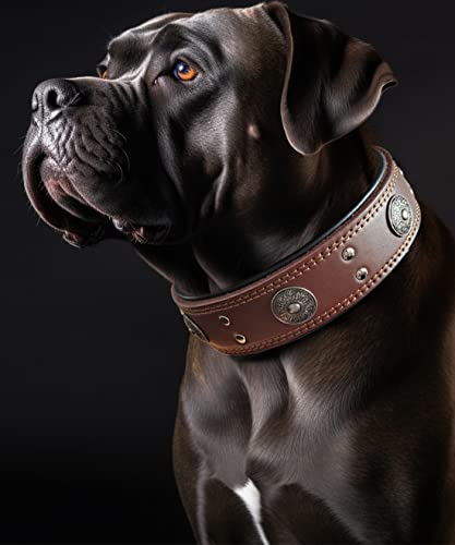 Leather Dog Collar, 2 inches Wide Heavy Duty Genuine Leather Collars, Handmade, Soft, and Luxury, Eye-catching Best Choice for Large and Medium Breed Dogs, Brown 21-25 in - color: Brown, size: 21-25 in