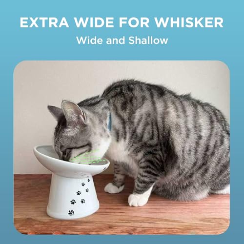 Necoichi Elevated Cat Food Bowl, Ceramic (Porcelain),15° Tilted, Whisker-Friendly, Dishwasher, Microwave Safe, Non-Slip, Anti-Vomiting, Neck Fatigue (Extra Wide Tilted, 1.5-Cup Capacity) - color: Cat, size: Large Extra Wide Tilted (1.5 Cups)