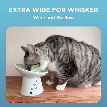 Necoichi Elevated Cat Food Bowl, Ceramic (Porcelain),15° Tilted, Whisker-Friendly, Dishwasher, Microwave Safe, Non-Slip, Anti-Vomiting, Neck Fatigue (Extra Wide Tilted, 1.5-Cup Capacity) - color: Cat, size: Large Extra Wide Tilted (1.5 Cups)