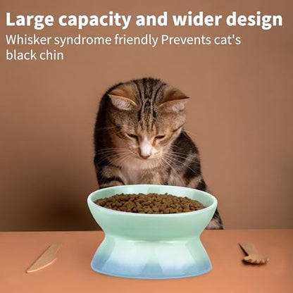 Cute Ceramic Tilted Food Bowls for Indoor Cats Cat Bowl Elevated Cat Bowls Whisker Friendly 6.1 Inch Wide 15° Raised Kitten Supplies Dishwasher and Microwave Safe Blue Cats Water Bowl - color: Blue Ceramic Elevated Cat Bowl
