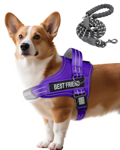 AUROTH Dog Harness and Leash Set, Soft Padded Service Dog Vest with 5.25FT Dog Leash, No Choke, Easy On Pet Vest, Adjustable Reflective No Pull Dog Harness Small Sized Dog, Easy Walking and Training - color: Purple, size: Small