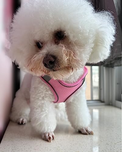 SOLMOONY Dog Harness for Small Medium Large Dogs No Pull, Puppy and Leash Set, Dogs, Step in Harness, mesh Harness. (Pink, XS) - color: Pink, size: XS