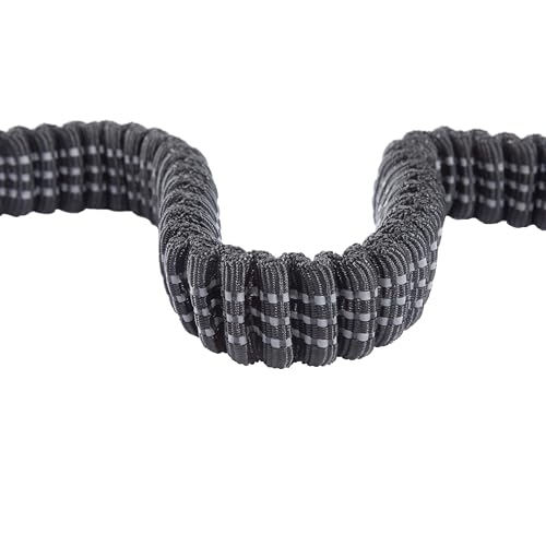 Carhartt Pet Durable Nylon Webbing Shock Absorbing Leash for Dogs, Reflective Stitching for Visibility, Black, Large - color: Black
