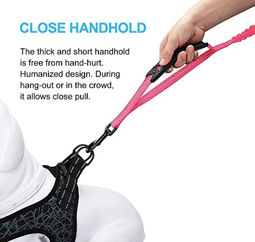 6FT Highly Reflective Heavy Duty Elastic Bungee Medium and Large Dog Leash Shock Absorbing with Comfortable Padded Handle and Traffic Handle Suitable for Training - color: Pink
