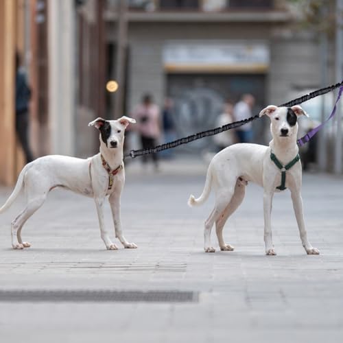 Double Dog Leash Coupler-360°Swivel,2 PCS No Tangle Walking Leash with Shock Absorbing Bungee for Outdoor Walk Train Small Medium Pet(Pink,Purple)