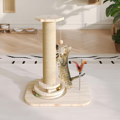 Cat Scratching Post, Small Scratching Post with Vertical Scratcher and Tracking Interactive Ball for Kittens