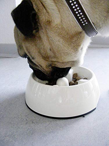Hagen Dogit Go Slow Anti Gulping Bowl Black Small - color: Black, size: Small