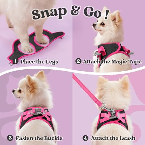 rabbitgoo Dog Harness Small Sized and Leash Set, Step-in Breathable Pet Harness, Soft Walking Reflective Puppy Vest for Small Dogs, Black & Rose Red, XS - color: Black & Rose Red, size: XS (Chest: 13.3 - 15.5")