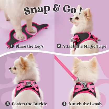 rabbitgoo Dog Harness Small Sized and Leash Set, Step-in Breathable Pet Harness, Soft Walking Reflective Puppy Vest for Small Dogs, Black & Rose Red, XXS - color: Black & Rose Red, size: XXS (Chest: 12.4 - 14.2")