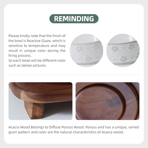 Havniva Cat Food Bowl, 6.1" Raised Cat Bowls with Acacia Wood Stand, Elevated Cat Bowls Ceramic Pet Food & Water Bowl Set, Extra Wide Whisker Friendly Elegant Pet Bowls for Kitten, Cats, Puppy - color: 2 Bowls+Stand- Arctic White