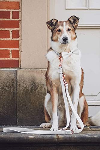 Soft Leather Bowtie Dog Collar - Adjustable Cute Bow Tie Collar [Easy to Clean] with Stylish Rose Gold Heavy Duty Metal Buckle for Small Medium Large Dogs White M - color: White, size: M(13.8"-19.7")